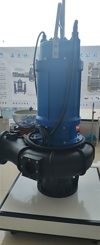 防爆强排潜水污水泵