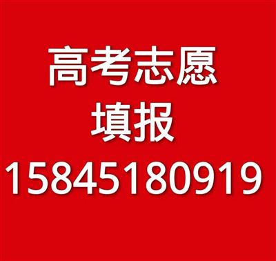 高考志愿填报